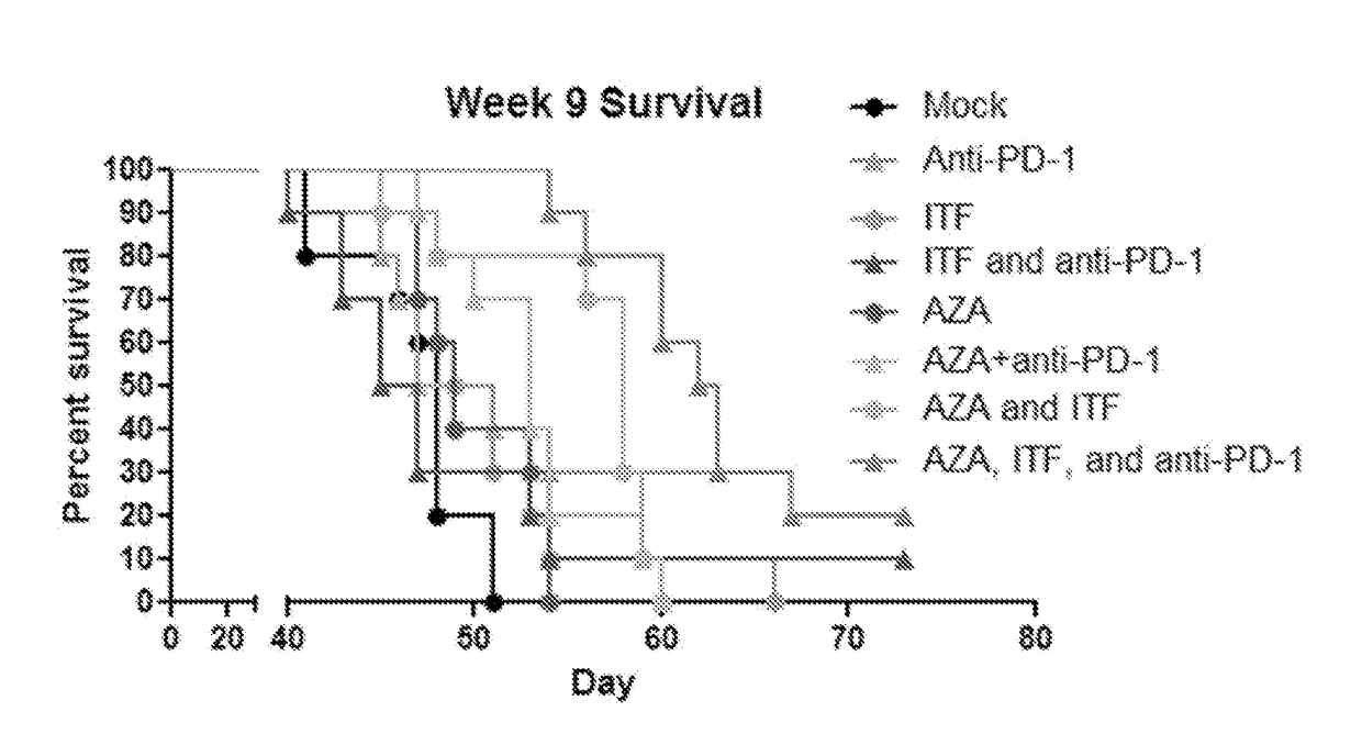 Compositions and methods for treating solid tumors