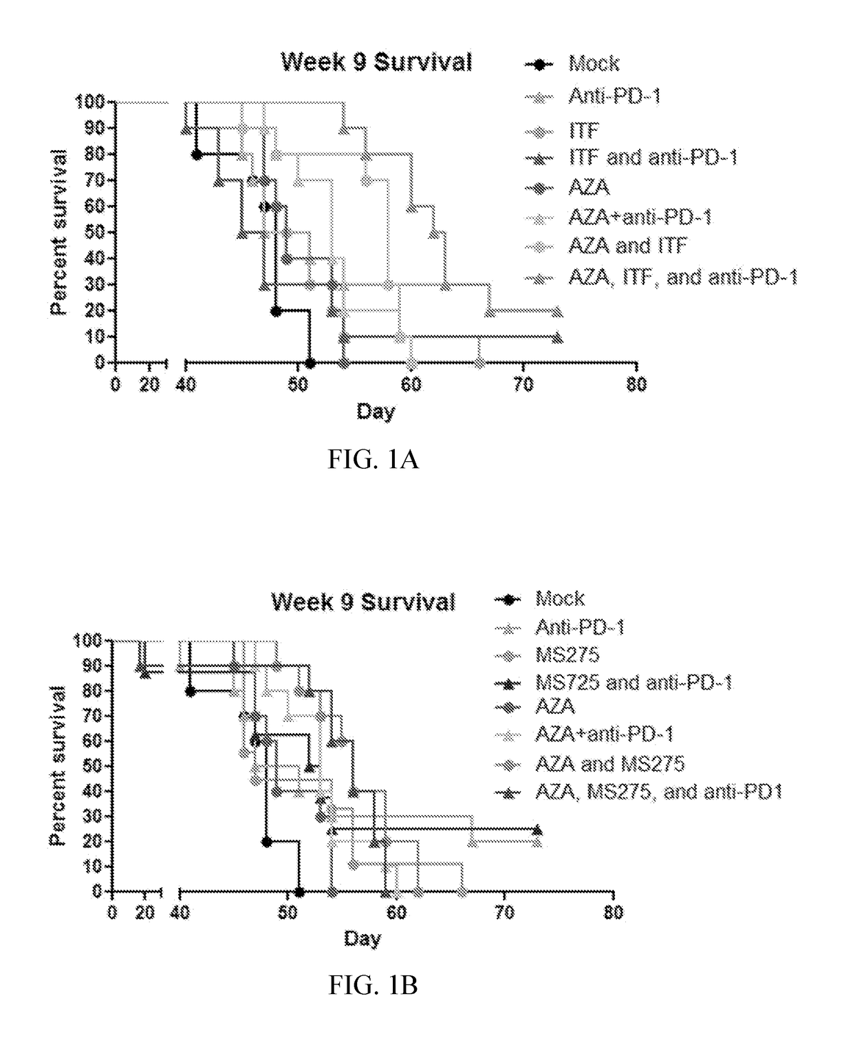 Compositions and methods for treating solid tumors