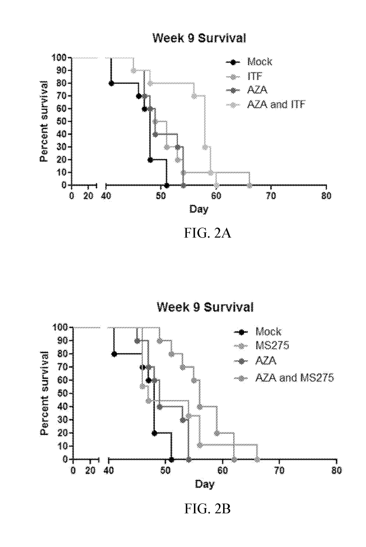 Compositions and methods for treating solid tumors