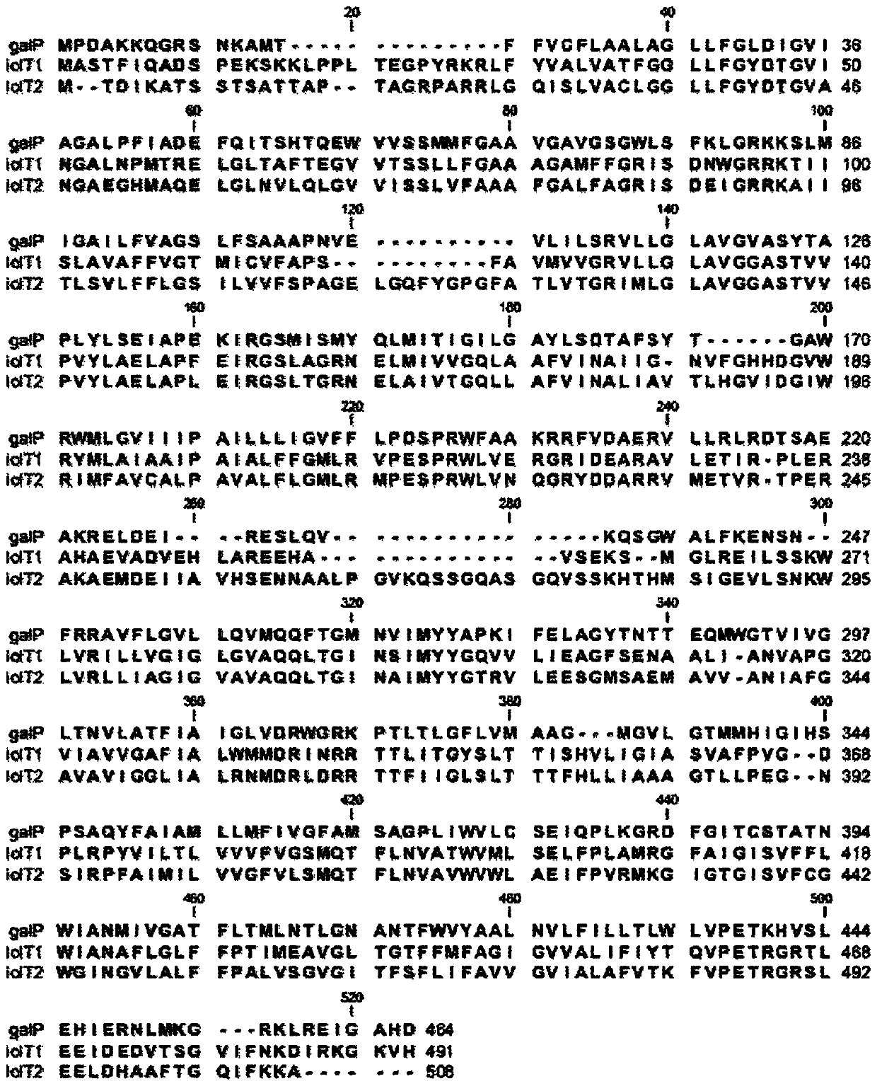 Recombinant microorganism belonging to the genus Escherichia having l-threonine productivity and method for producing l-threonine using the microorganism