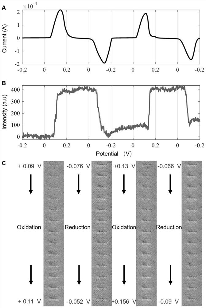 High-resolution imaging device for nano material and imaging analysis method of high-resolution imaging device