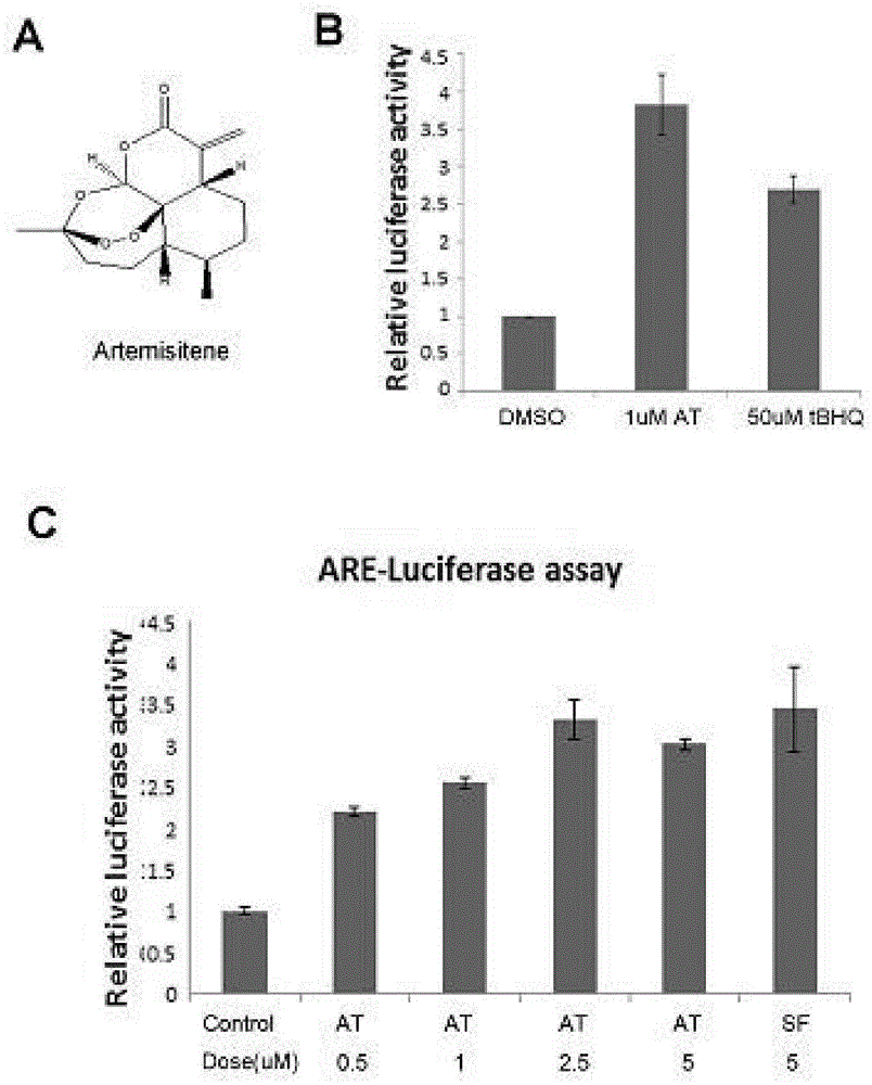 Antioxidant application of artemisitene