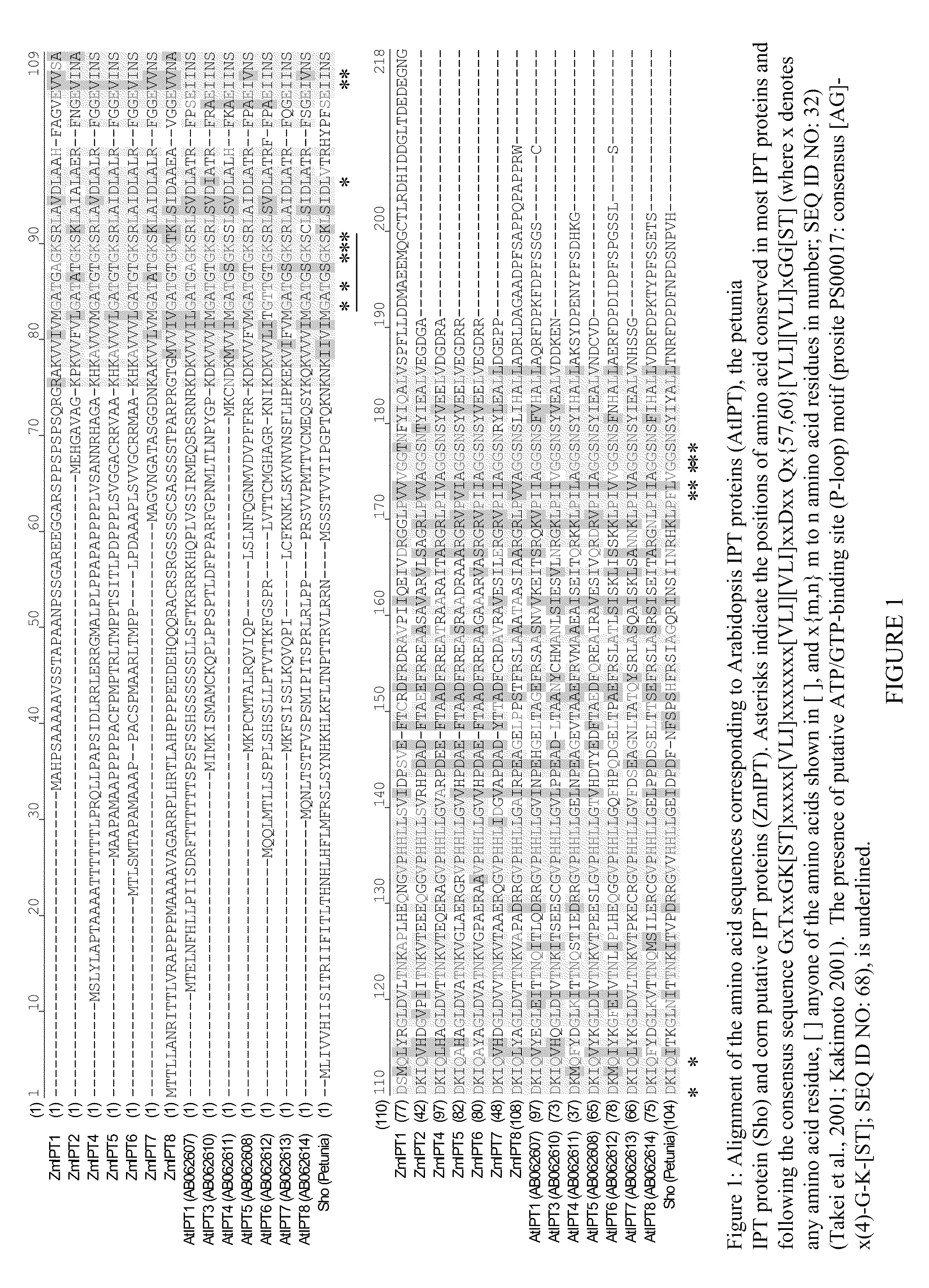 Isopentenyl transferase sequences and methods of use