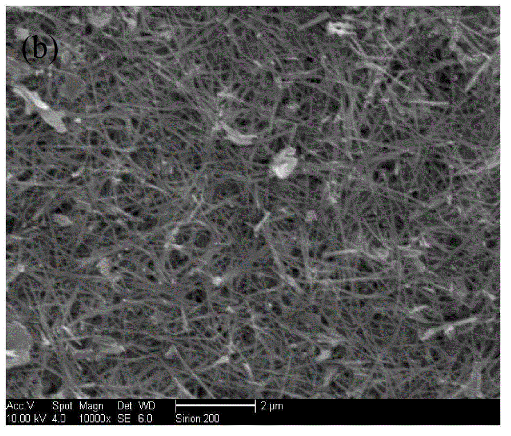 Coal ash microsphere loaded one-dimensional nanometer titanium dioxide (TiO2) composite photocatalyst and preparation method thereof