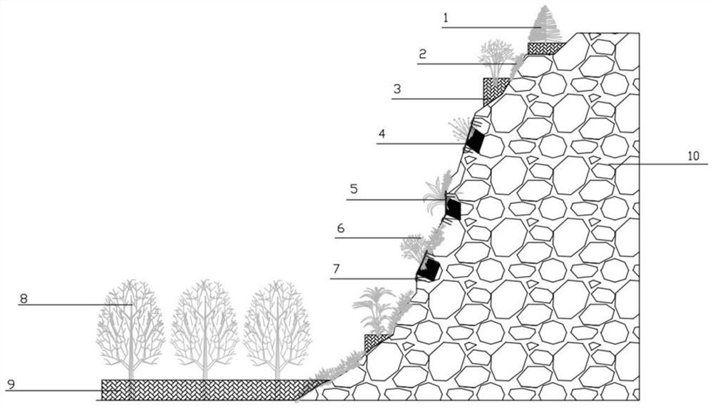 Method for recovering vegetation of high and steep fracture development slope in northwest arid regions