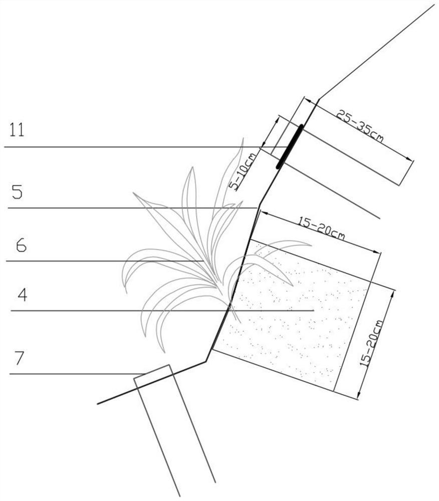 Method for recovering vegetation of high and steep fracture development slope in northwest arid regions