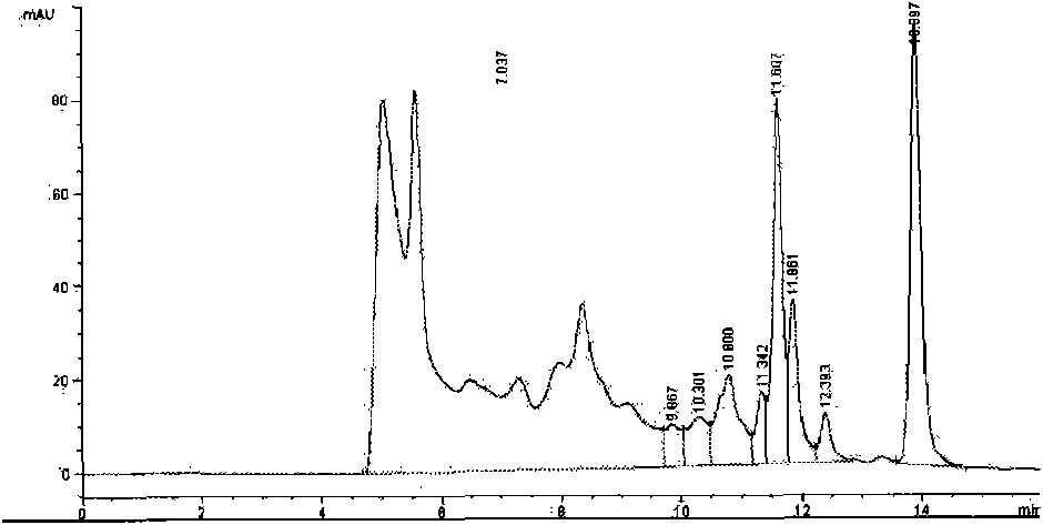Earthworm protein-containing buccal instant preparation, preparation method and application thereof