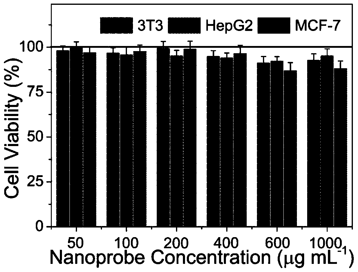 Composite fluorescent nanoprobe preparation method and in vivo application thereof