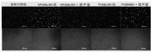 Hepatocyte ultrasonic planting and freezing storage device and freezing storage method thereof