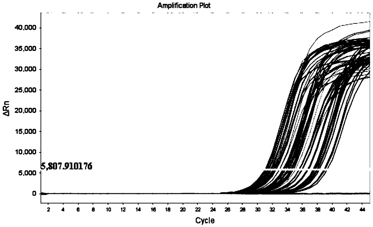 Application of IGFBP3 (insulin-like growth factor-binding protein 3) in preparation of products to diagnose type I neurofibromatosis with spinal deformity