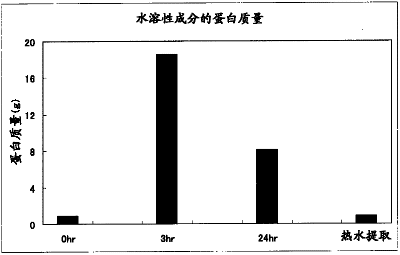 Collagen production enhancer, and external composition for skin and cosmetic each comprising same