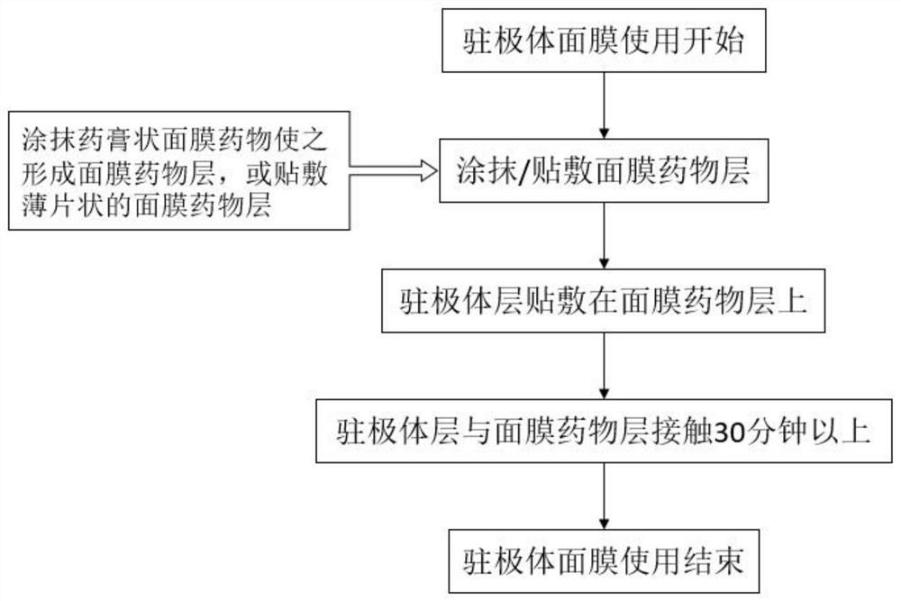 Electret facial mask for promoting absorption of phytoestrogen, and preparation method thereof