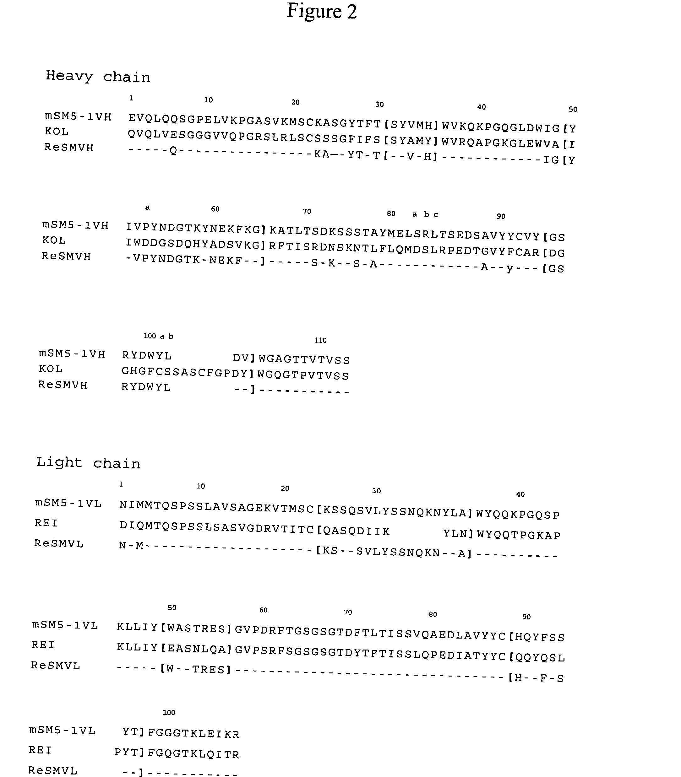 Antibodies specific for cancer associated antigen SM5-1 and uses thereof