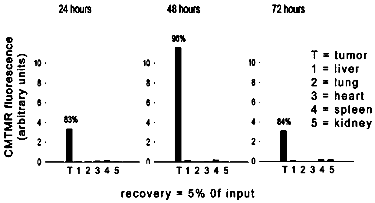 Establishing method and application of system for packing adenoviruses with mesenchymal stem cells