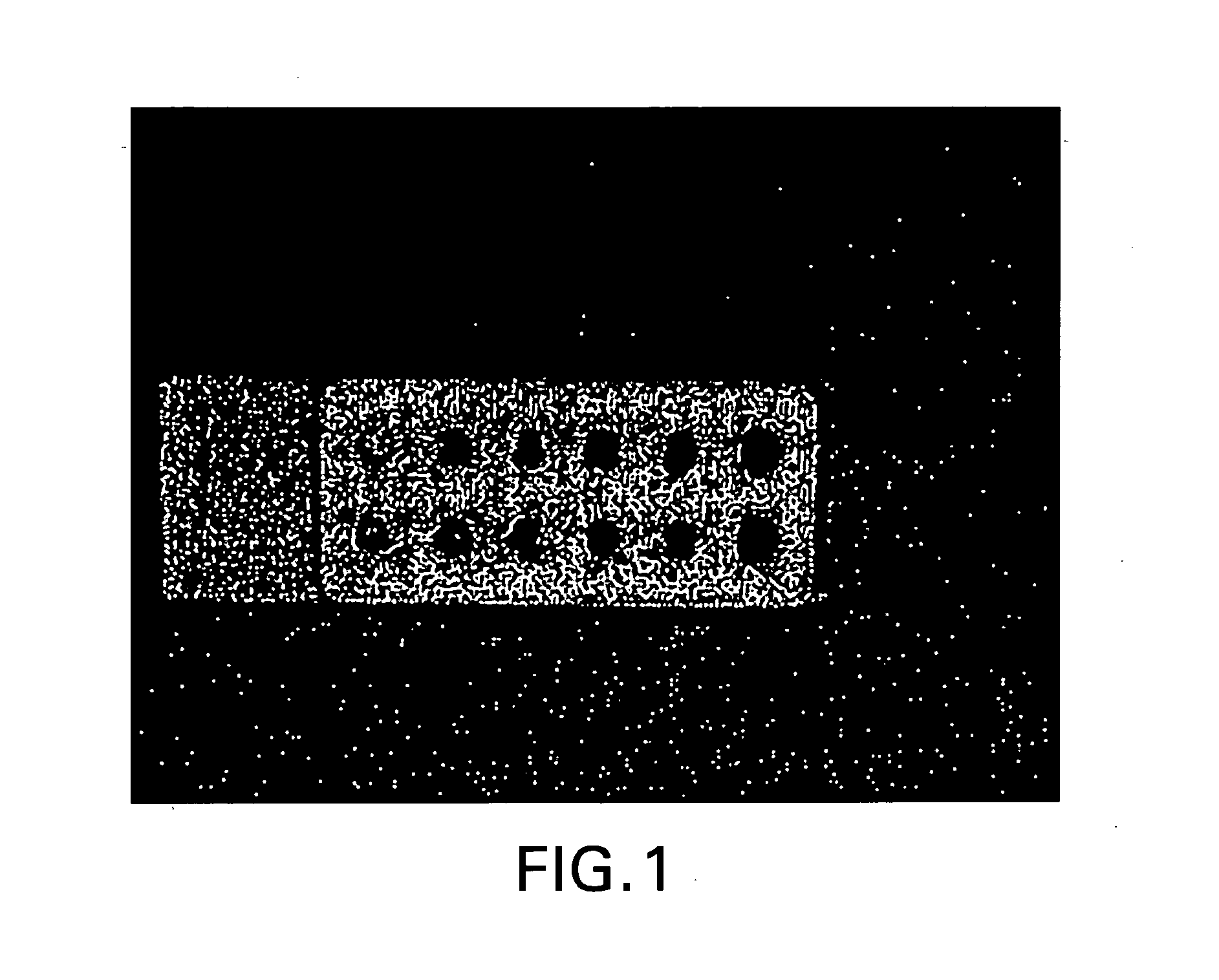 Bionanosensor detection device