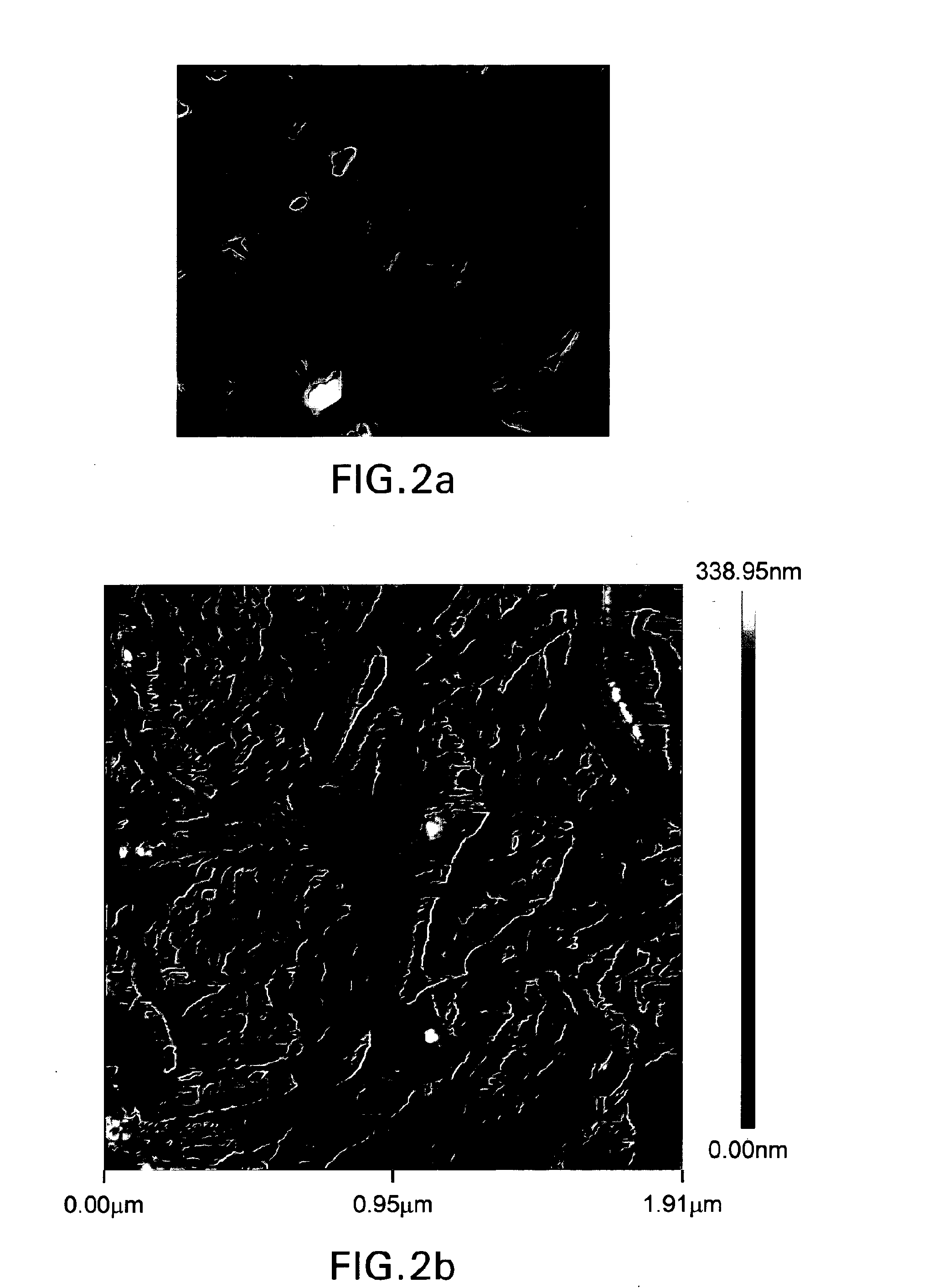 Bionanosensor detection device