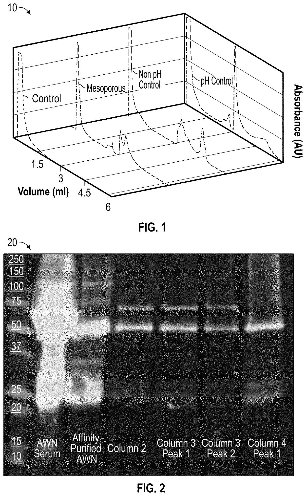 Molecular imprinting of West Nile antibodies with physiological pH matching