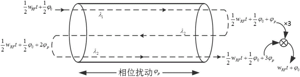 Multi-frequency multi-point microwave fiber stable-phase transmission method based on passive phase correction