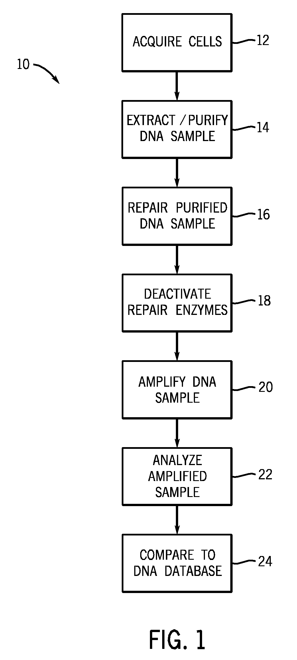Method and Kits for Repairing Nucleic Acid Sequences