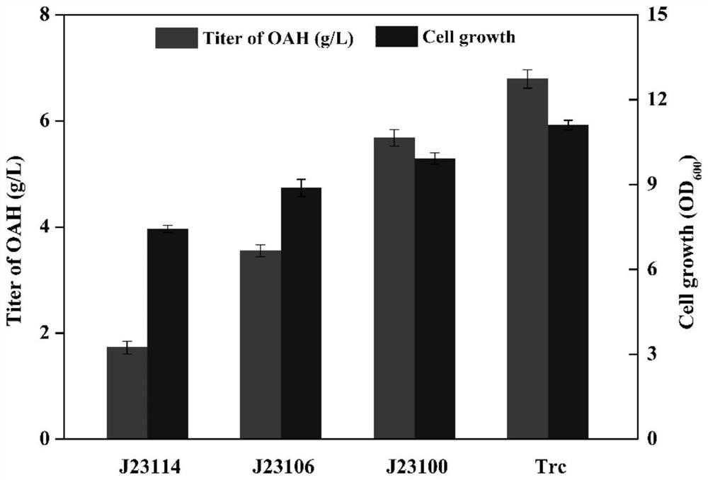 Recombinant escherichia coli capable of producing O-acetyl-L-homoserine at high yield and application of recombinant escherichia coli
