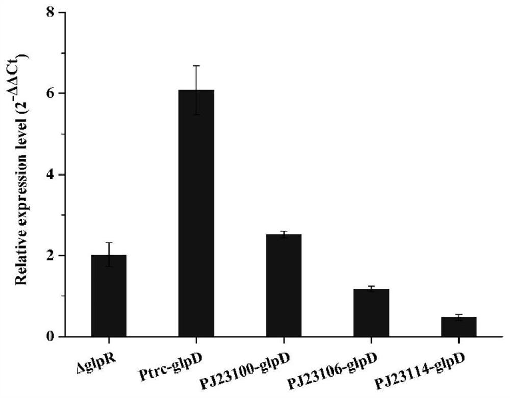 Recombinant escherichia coli capable of producing O-acetyl-L-homoserine at high yield and application of recombinant escherichia coli