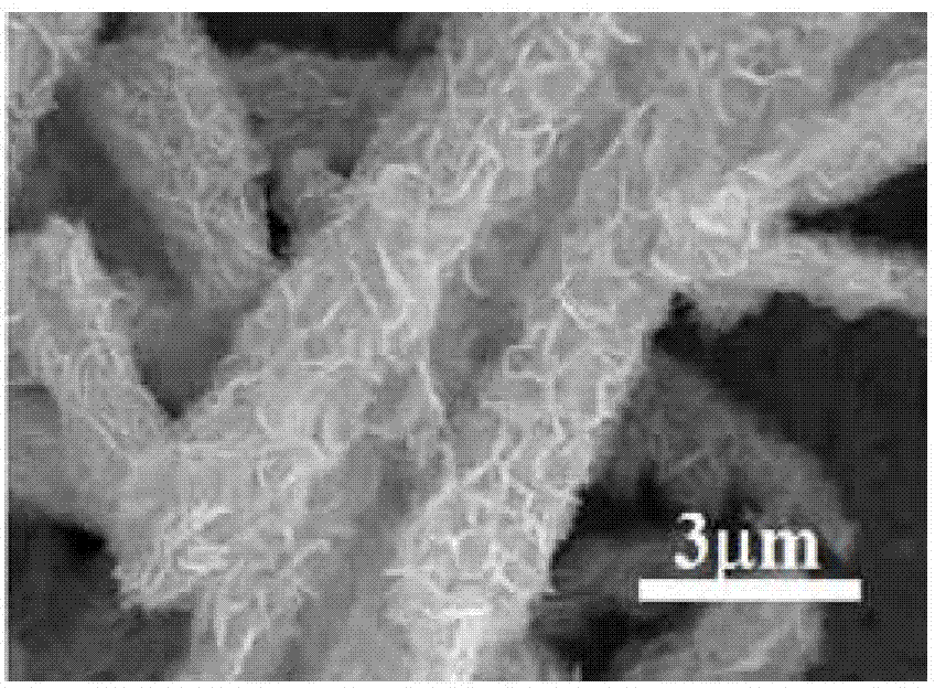 Method for preparing one-dimensional hollow superstructure photocatalytic material of Bi system composite oxide