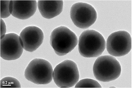 Magnetic mesoporous titanium dioxide core-shell type compound microsphere as well as preparation method and application thereof