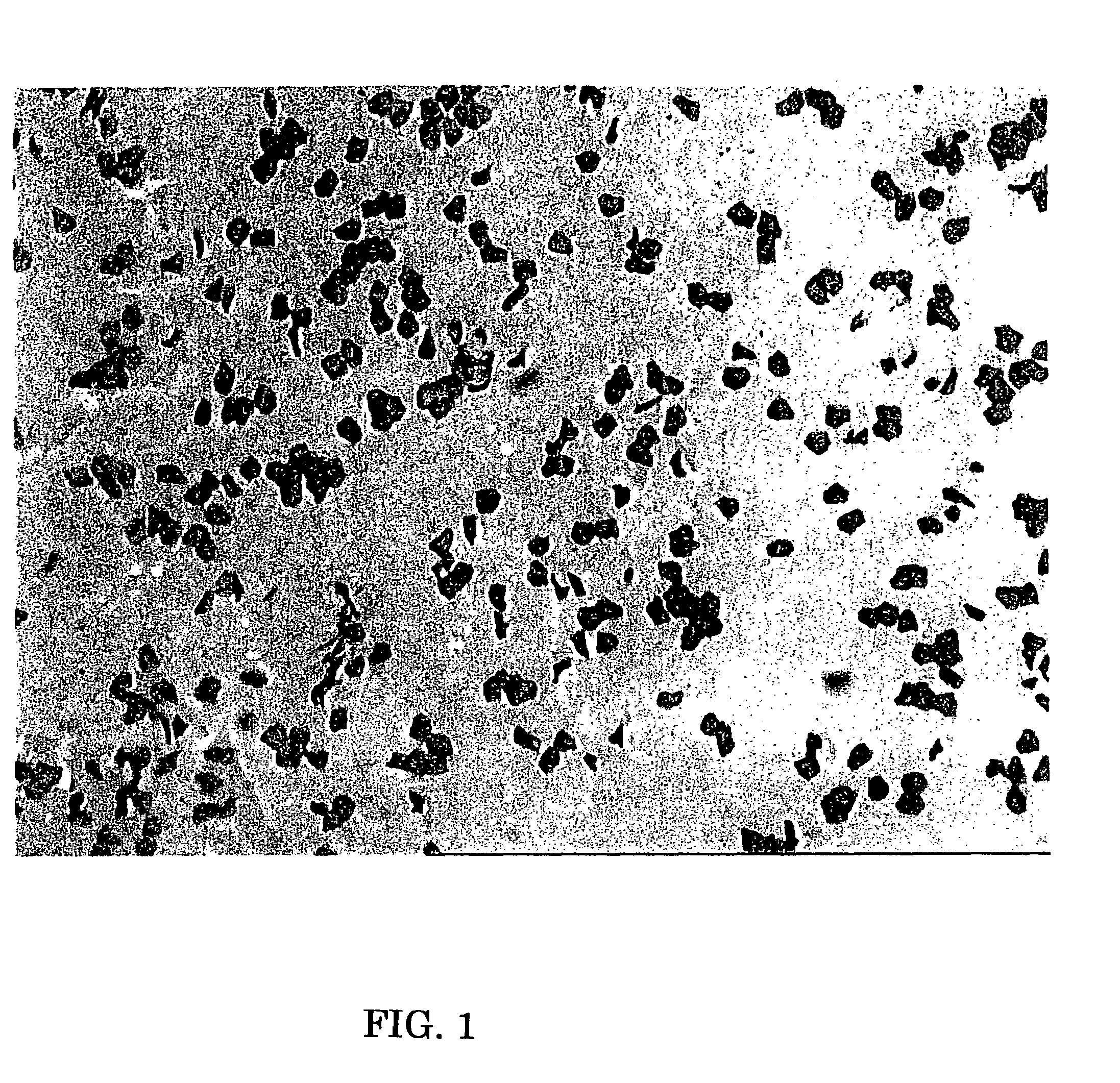 Method for staining corneocytes, method for preparing corneocytes specimen and skin analysis system