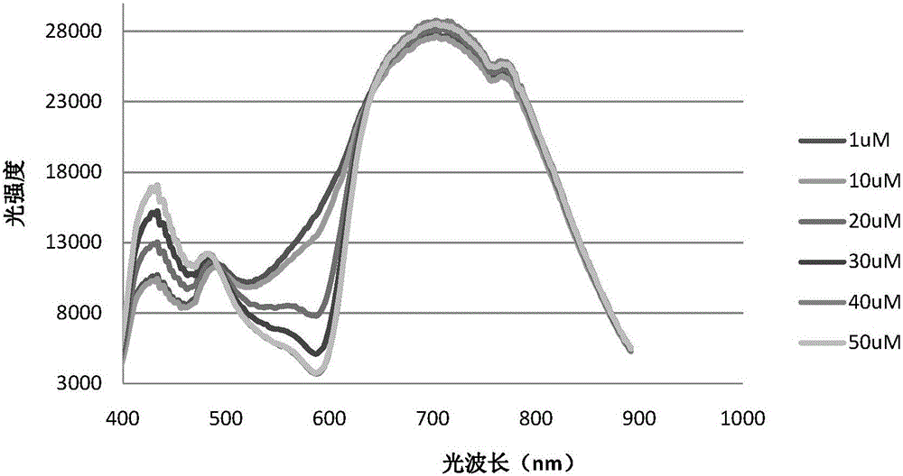 Microbe concentration detection method based on immunomagnetic separation and biological catalysis