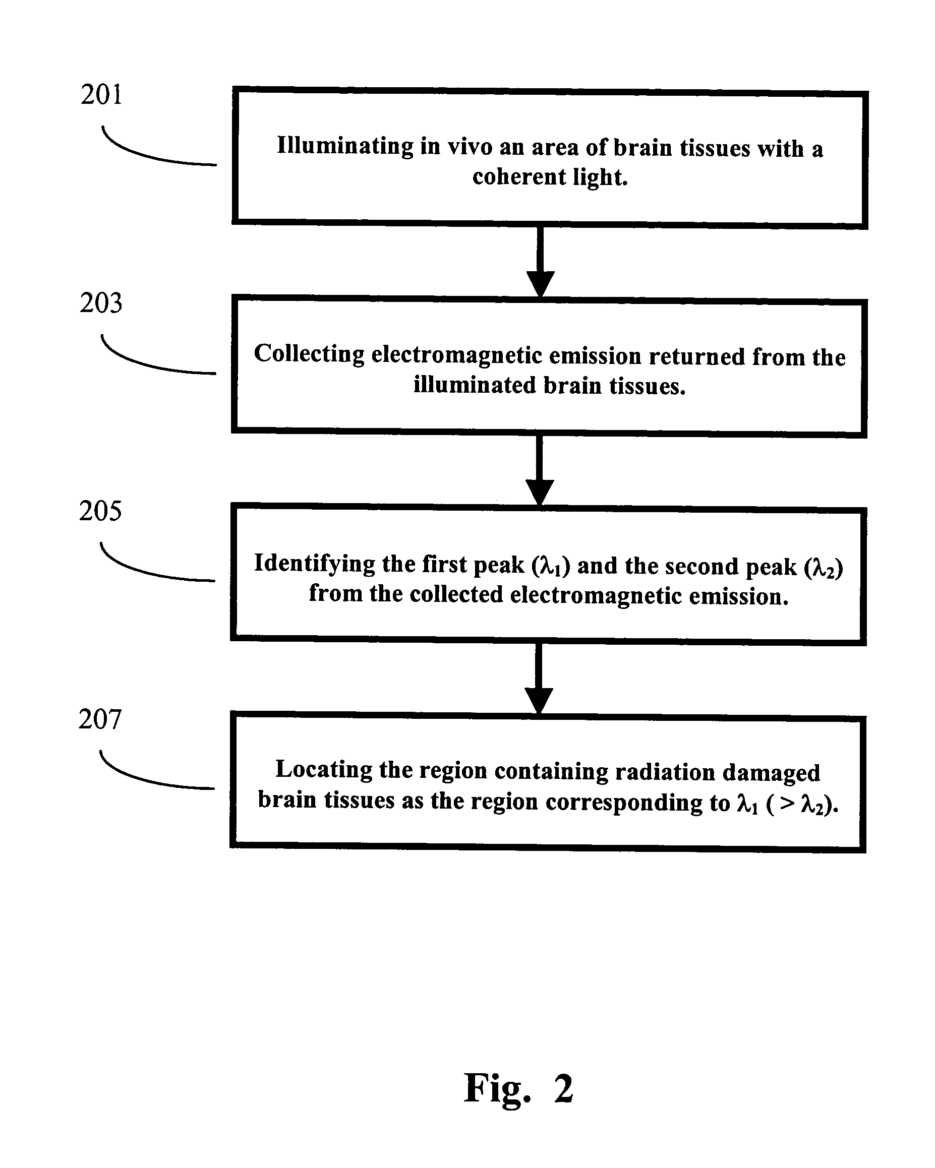 Apparatus and methods of detection of radiation injury using optical spectroscopy
