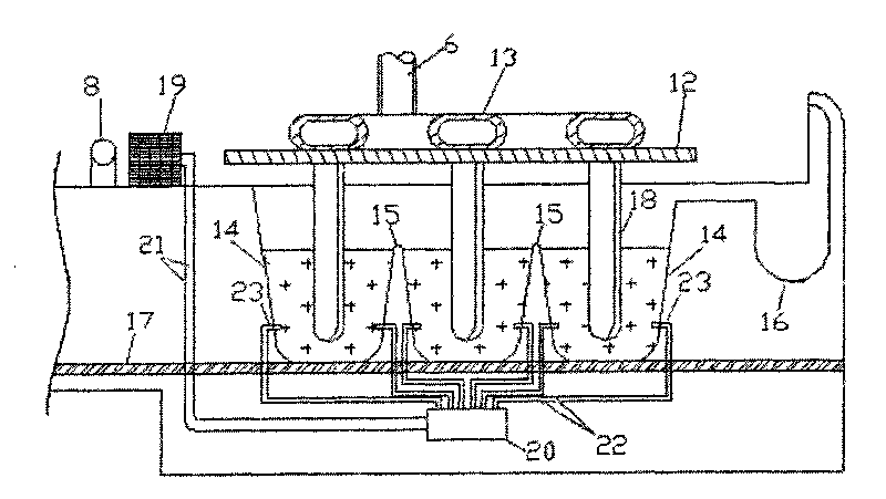 Ice maker with carrier gas device