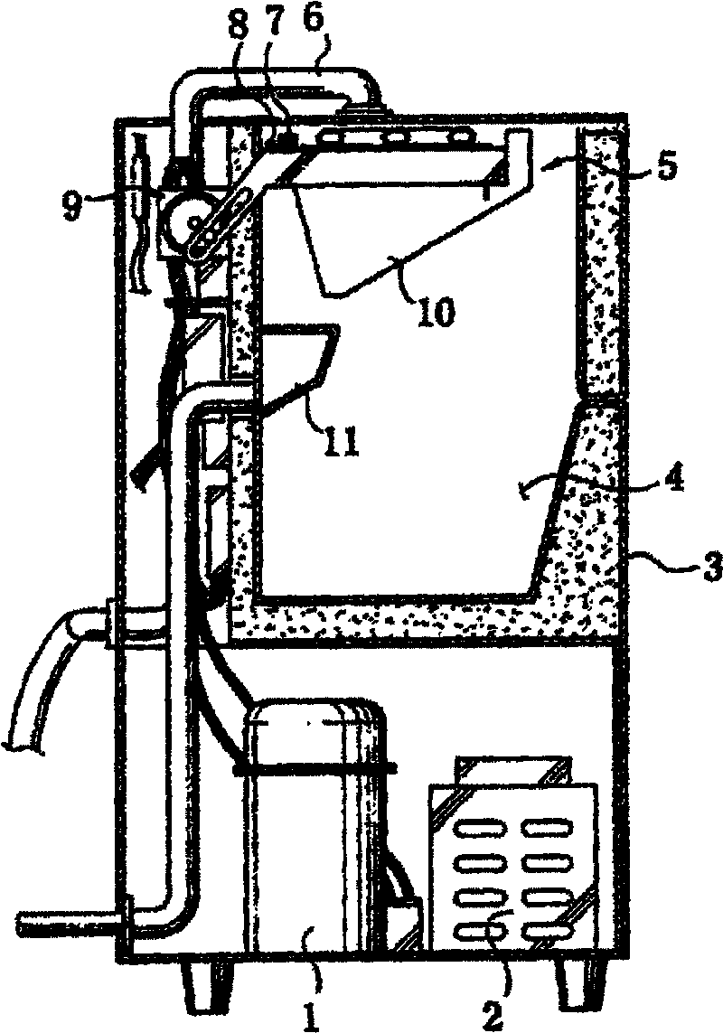 Ice maker with carrier gas device