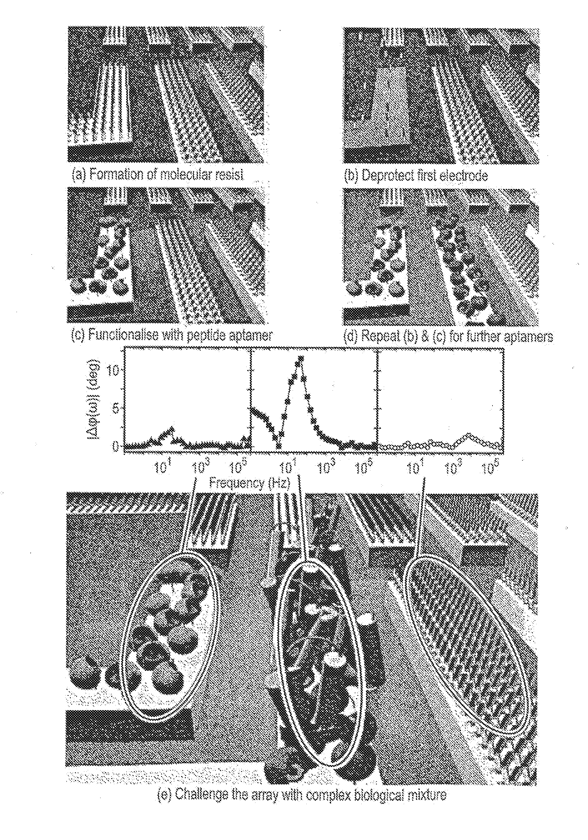 Methods and Devices for Detecting Structural Changes in a Molecule Measuring Electrochemical Impedance