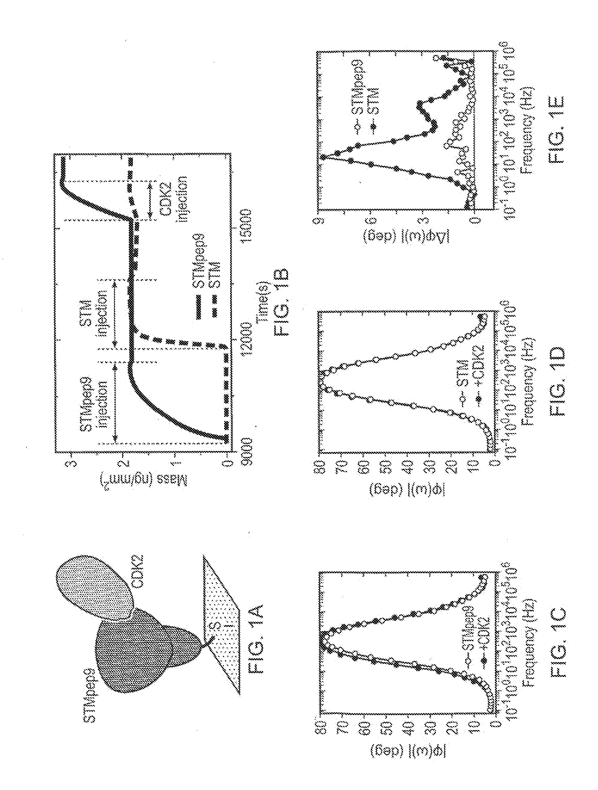 Methods and Devices for Detecting Structural Changes in a Molecule Measuring Electrochemical Impedance
