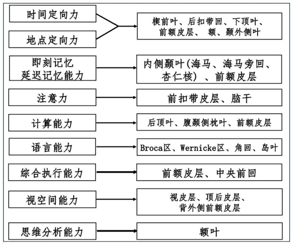 A system and method for cognitive function detection and dynamic monitoring