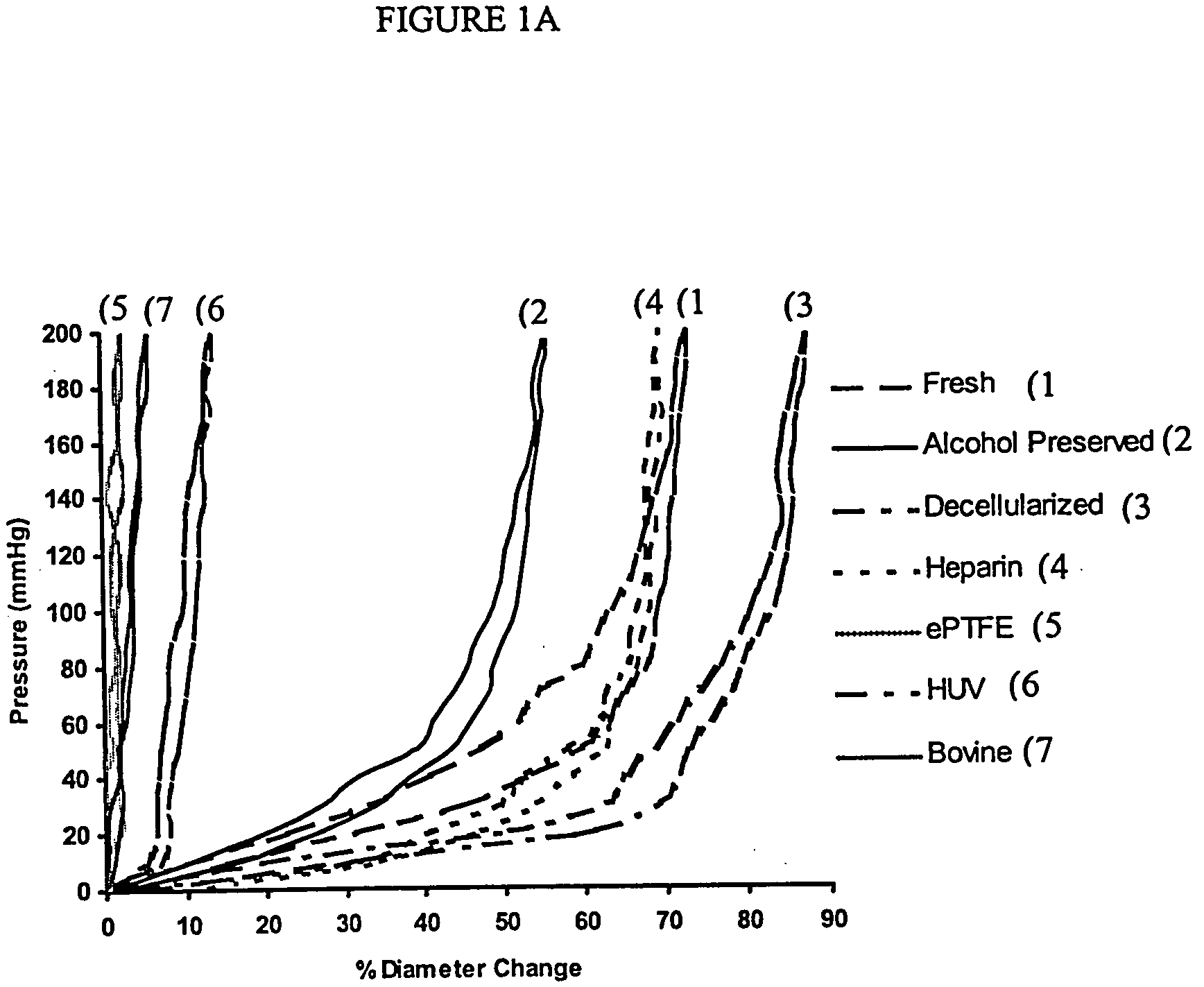 Decellularized vascular prostheses resistant to thrombus occlusion and immunological rejection