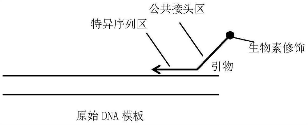 Quantitative detection method of mutant gene