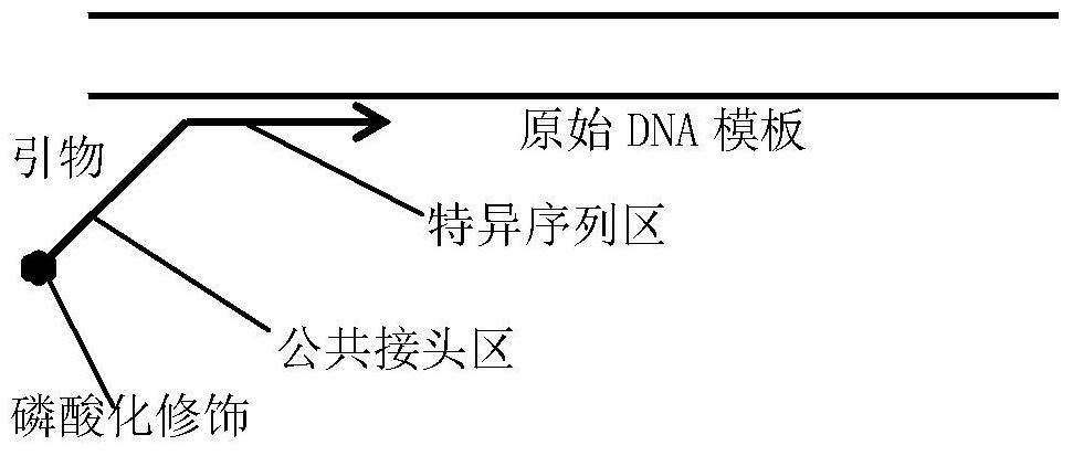 Quantitative detection method of mutant gene