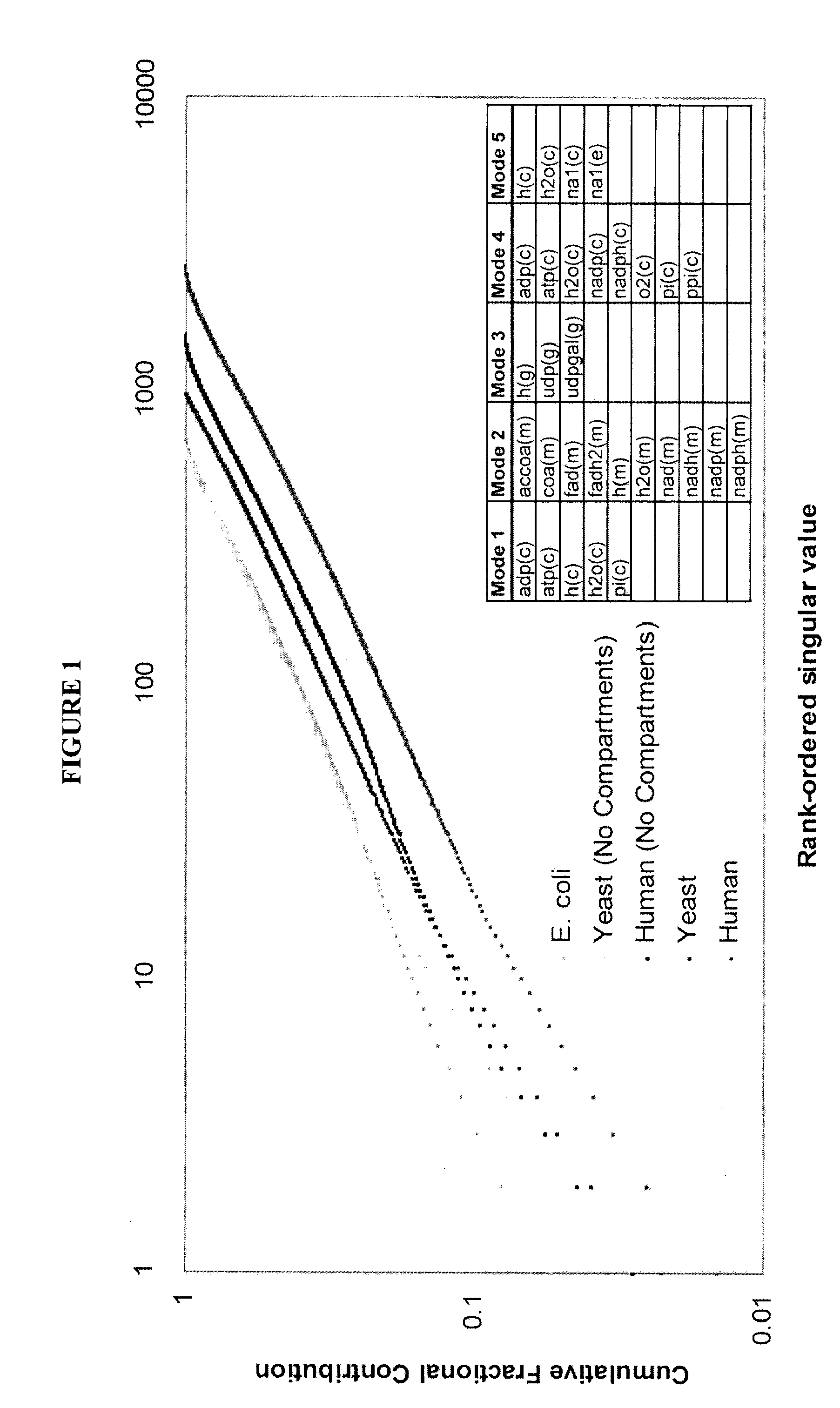 Compositions and methods for modeling human metabolism