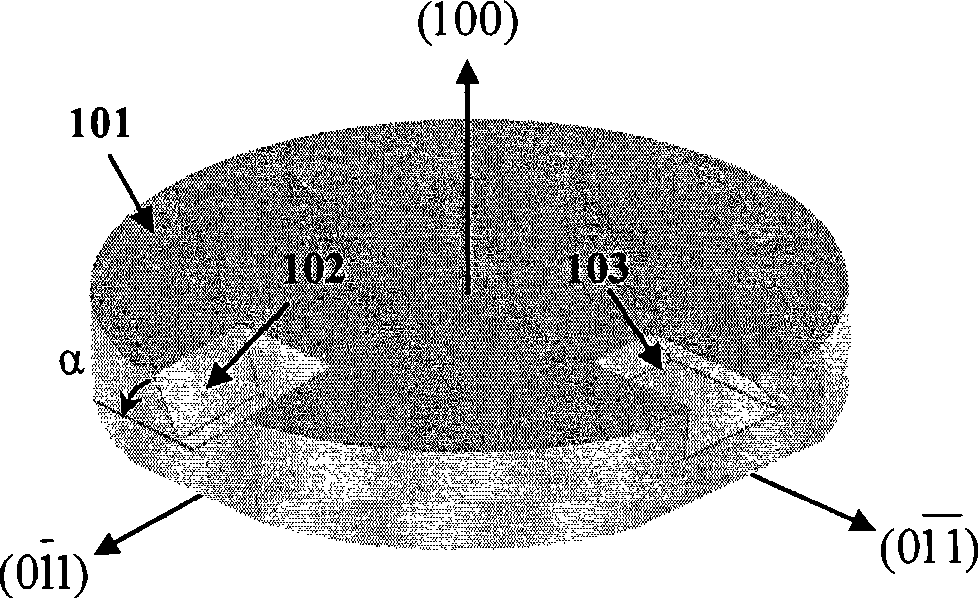 Inclined plane receiving photodetector with optical fiber locating slot and method for making array thereof