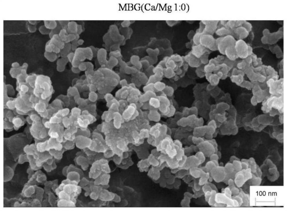 A kind of scaffold material for bone repair and its preparation method and application