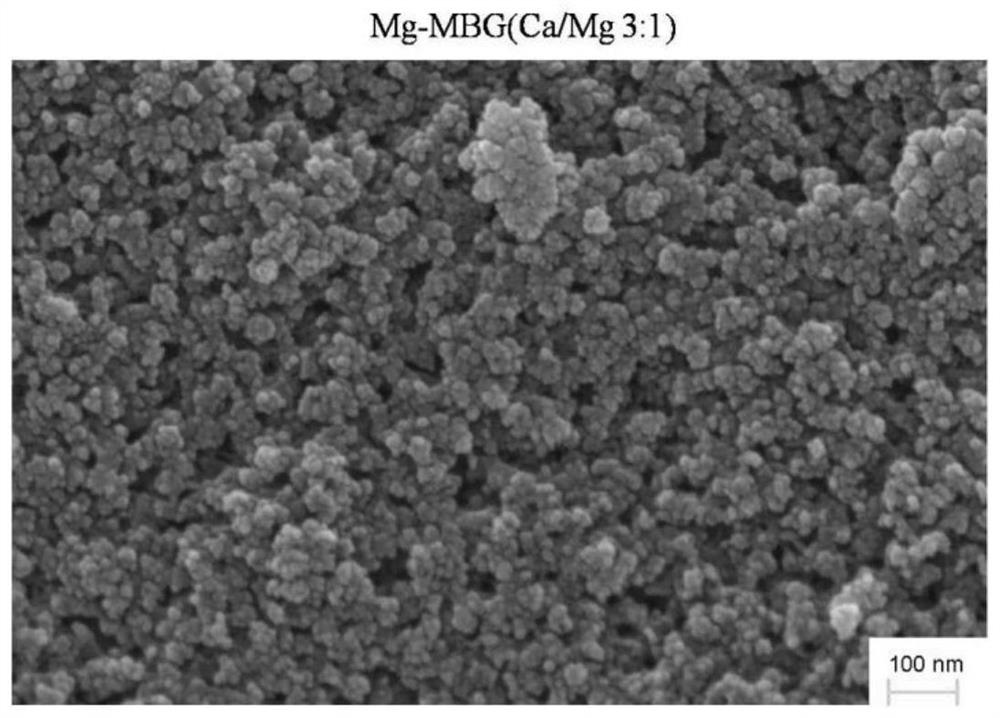 A kind of scaffold material for bone repair and its preparation method and application