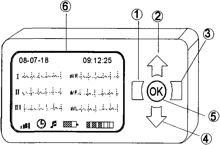 Palm medical popular type system for recording and processing multiform biological information