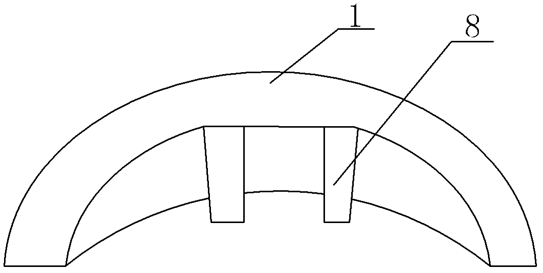 Biotype femoral head surface substitutive prosthesis