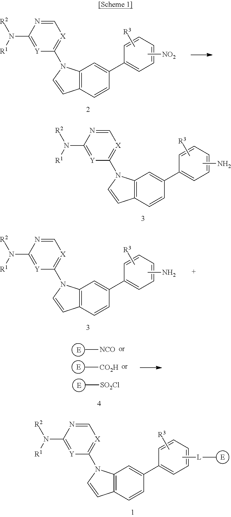 Novel 1,6-disubstituted indole compounds as protein kinase inhibitors