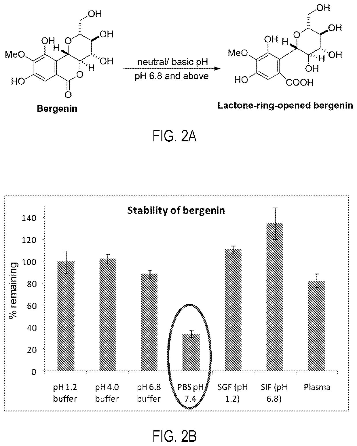 Gastroretentive sustained release formulations of <i>Bergenia ciliata</i>