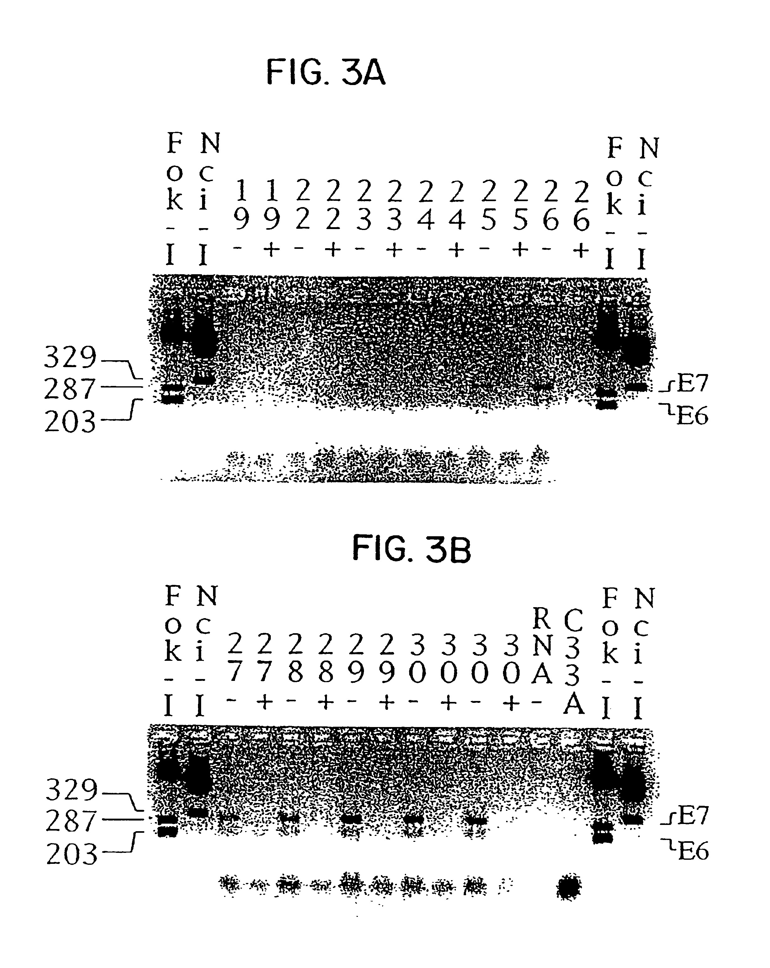 Nordihydroguaiartic derivatives for use in treatment of tumors