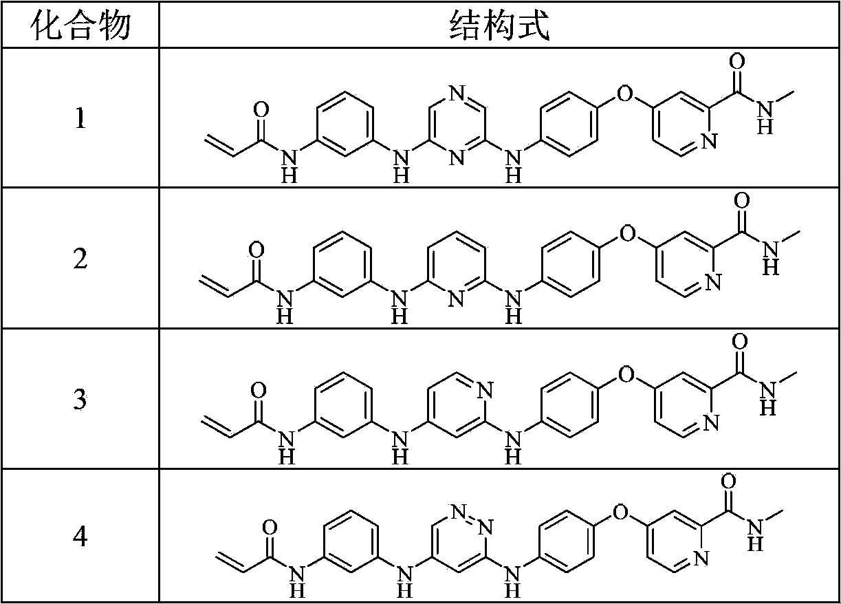 Hetero-aromatic ring and derivative type tyrosine kinase inhibitor thereof