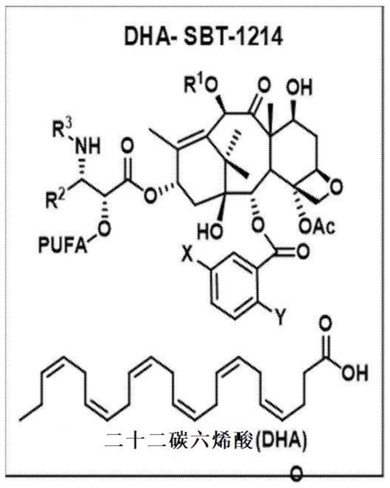 Combination taxoid nanoemulsion with immunotherapy in cancer