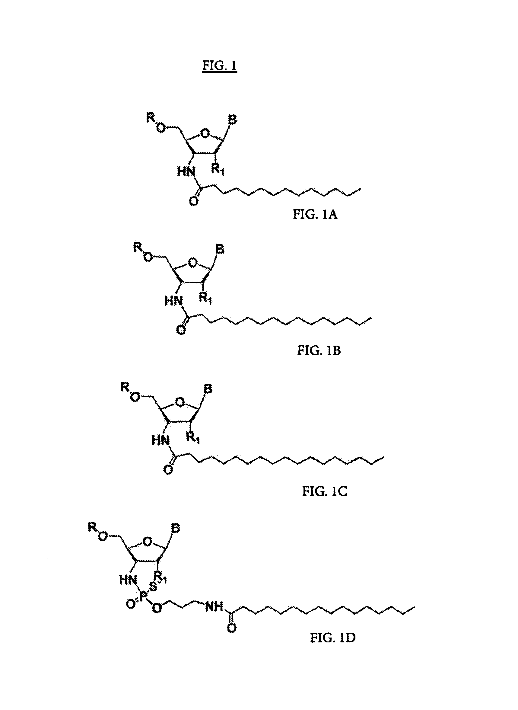 RNA amidates and thioamidates for RNAi
